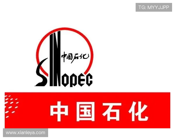 K8凯发官网app下载安全保障，保障用户信息安全的最佳选择