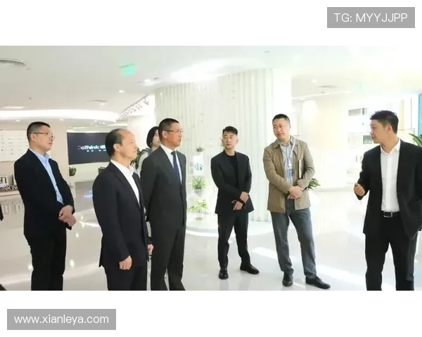 乐投控股有限公司：公司核心业务布局与市场竞争优势深度解析