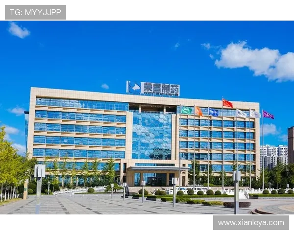 2024年k8凯发中国官网入口官方最新地址,确保玩家安全顺畅登录享受优质游戏服务 2024年k8凯发中国官网入口官方最新地址,确保玩家安全顺畅登录享受优质游戏服务