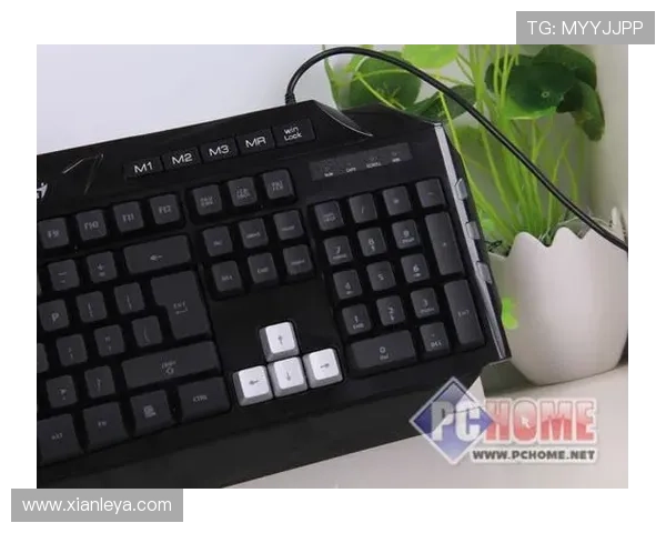 K8电子竞技的品牌建设与市场推广策略，打造行业知名度与用户忠诚度