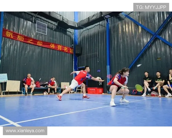 新爱体育登录入口全面解析帮助用户快速顺利进入体育娱乐平台