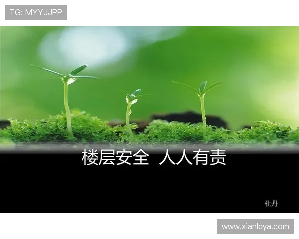 凯发网页版登录引领行业创新发展,打造绿色安全的线上娱乐平台新生态