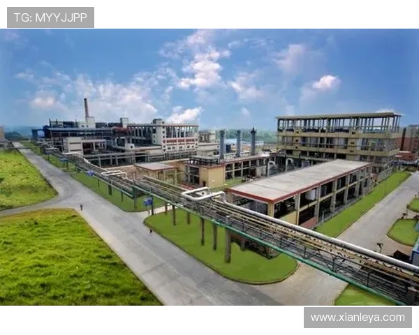 凯发集团如何实现可持续发展与绿色环保目标 凯发集团如何实现可持续发展与绿色环保目标