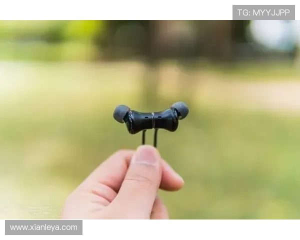 国际亚游K8多平台兼容性分析支持多设备无缝切换体验更流畅